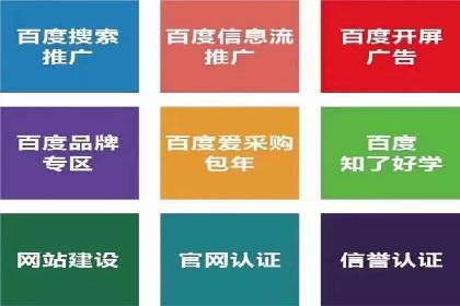 百度竞价广告运营全解析：成功案例揭秘